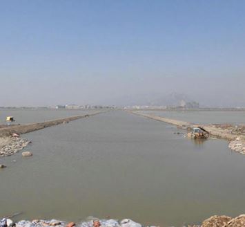 瓯飞工程龙湾二期4#围区固化土河堤项目